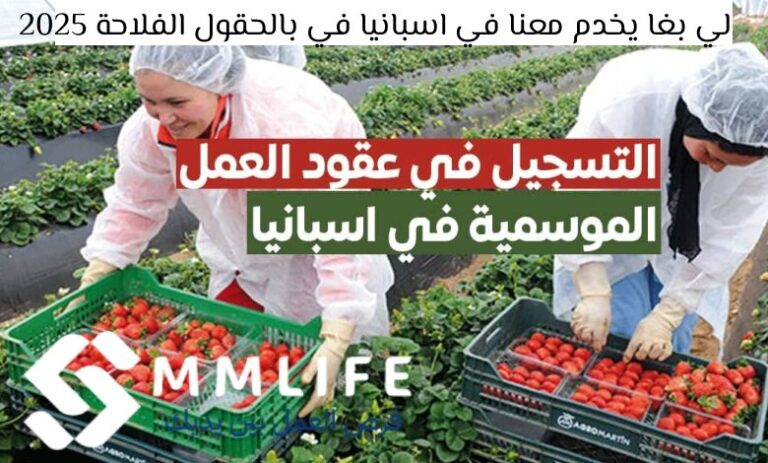 لي بغا يخدم معنا في اسبانيا في بالحقول الفلاحة 2025